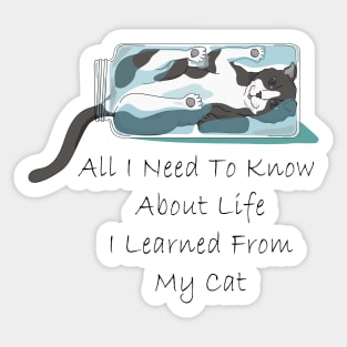 All I Need to Know About Life I Learned from My Cat Sticker